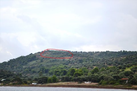 Земельный участок 5300м² в Халкидики, Греция №59379 2