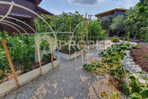 6 rooms Villa in Luong Phu, Vietnam No. 11512 8