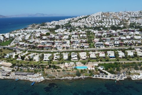 7 chambres Villa à Phi Dien, Vietnam No. 14932 2