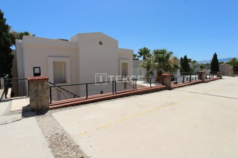 7 chambres Villa à Phi Dien, Vietnam No. 14932 9