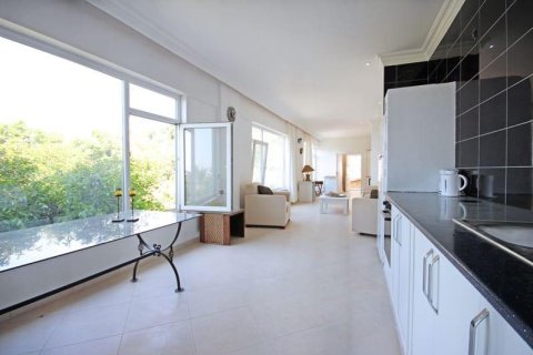 5 rooms Villa à Tri Phuong, Vietnam No. 21272 8