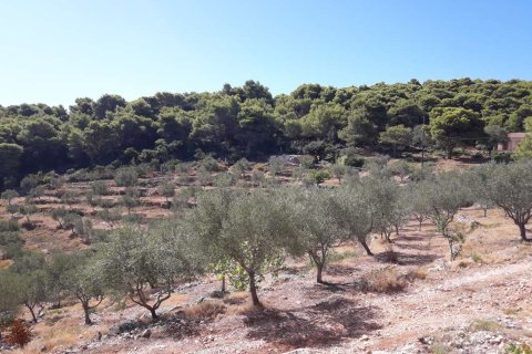 1 chambre House à Zakynthos, Greece No. 69542 24