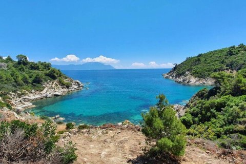 12000m² Land in Chalkidiki, Greece No. 59149 4