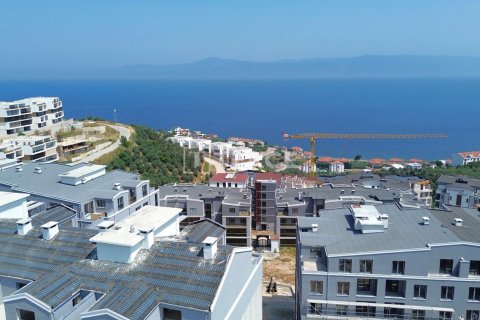 4 dormitorios Apartment en Vo Tranh, Vietnam No. 11317 26