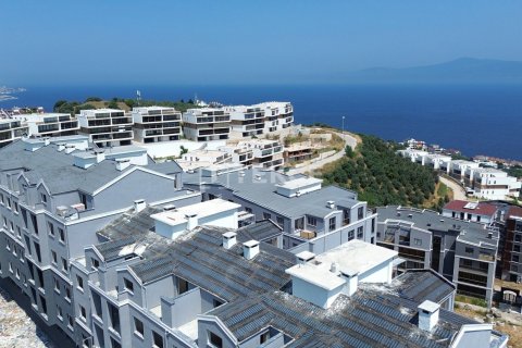 4 dormitorios Apartment en Vo Tranh, Vietnam No. 11317 25