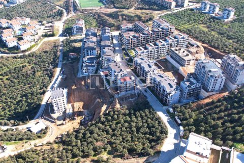 4 dormitorios Apartment en Vo Tranh, Vietnam No. 11317 2