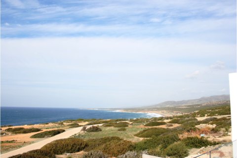 Вилла студия в Пафос, Кипр №105536 8