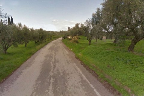 Land en Zakynthos, Greece No. 69517 7