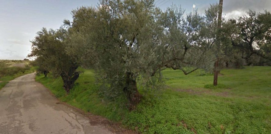 Land en Zakynthos, Greece No. 69517