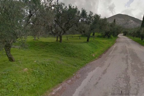 Land en Zakynthos, Greece No. 69517 8