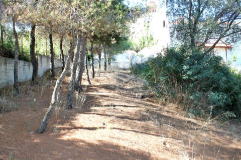 875m² Land en Euboea, Greece No. 60196 3