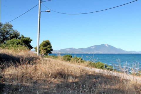 875m² Land en Euboea, Greece No. 60196 5