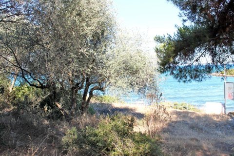 875m² Land en Euboea, Greece No. 60196 2