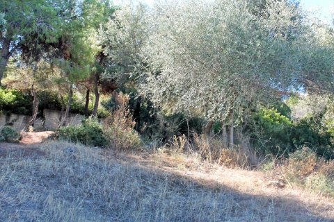 875m² Land en Euboea, Greece No. 60196 4