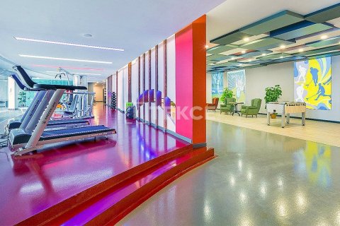 3 chambres Appartement à Chau Lang, Vietnam No. 16588 11