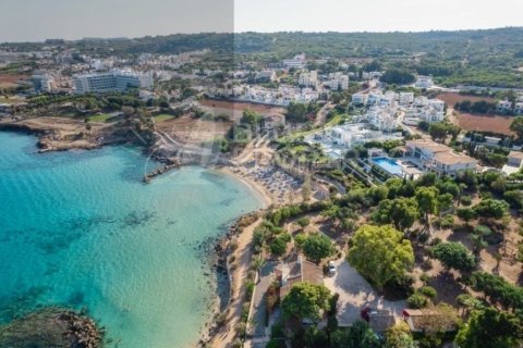 4 bedrooms Villa in Ayia Napa, Cyprus No. 36532 29