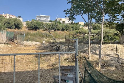 790m² Land in Heraklion, Greece No. 109494 3