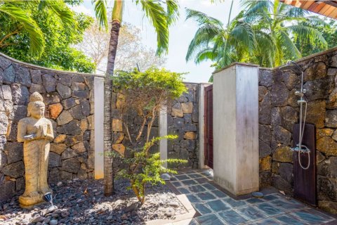 5 bedrooms Villa in Tamarin, Mauritius No. 86487 11
