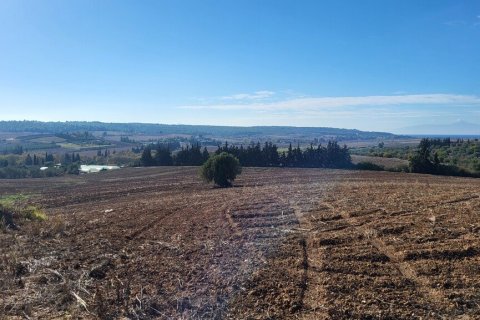 13600m² Land in Chalkidiki, Greece No. 108728 4