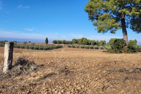 13600m² Land in Chalkidiki, Greece No. 108728 2