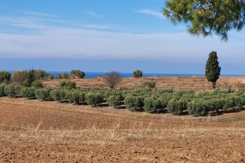 13600m² Land in Chalkidiki, Greece No. 108728 1