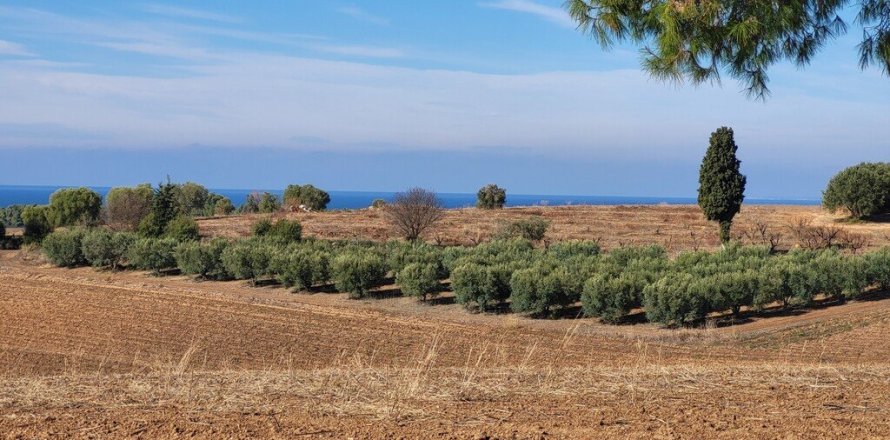 13600m² Land in Chalkidiki, Greece No. 108728