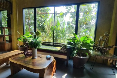 23 bedrooms Commercial property in Chiang Mai, Thailand No. 97588 9