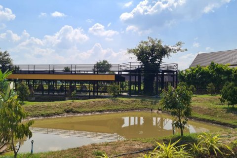 23 bedrooms Commercial property in Chiang Mai, Thailand No. 97588 15