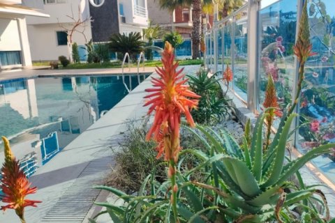 4 dormitorios Apartment en Lien Chieu, Vietnam No. 14305 8