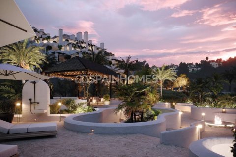 2 bedrooms Penthouse in Tan Xuan, Vietnam No. 88374 3