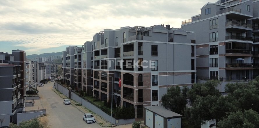 3 bedrooms Apartment in Vo Tranh, Vietnam No. 117913