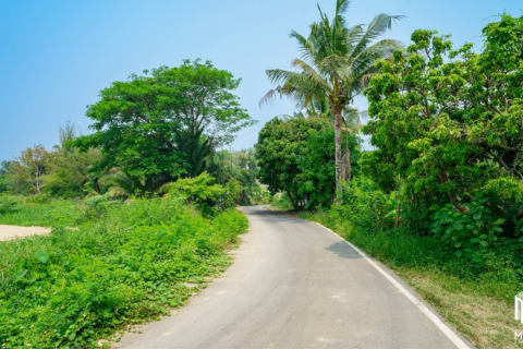 Земельный участок в Чиангмай, Таиланд №97900 11