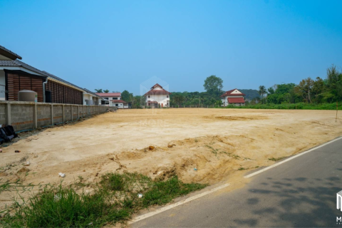 Земельный участок в Чиангмай, Таиланд №97900 5