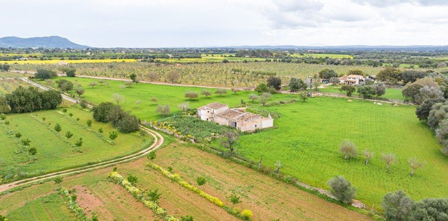 430m² Land in Binissalem, Spain No. 117195