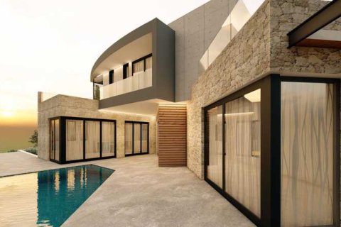 5 bedrooms Villa in Pegeia, Cyprus No. 101295 8