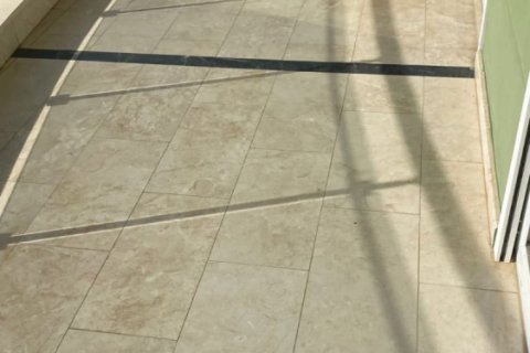 4 bedrooms Penthouse in Chau Lang, Vietnam No. 15388 25