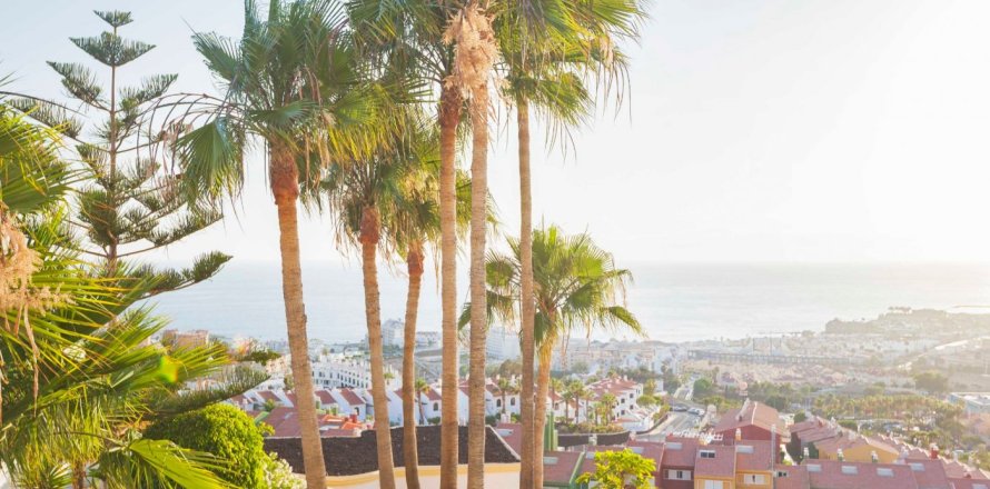 2 dormitorios Villa en Santa Cruz de Tenerife, Spain No. 116579