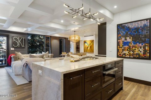 3 bedrooms Condo  in Vail, USA No. 84658 9