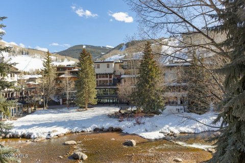 3 bedrooms Condo  in Vail, USA No. 84658 17