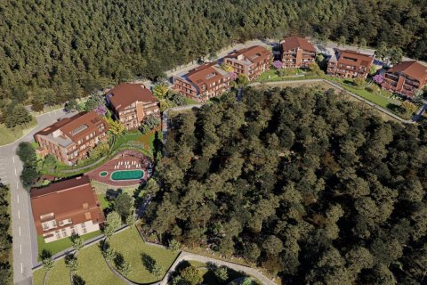 3 bedrooms Apartment in Phu An, Vietnam No. 20703 14