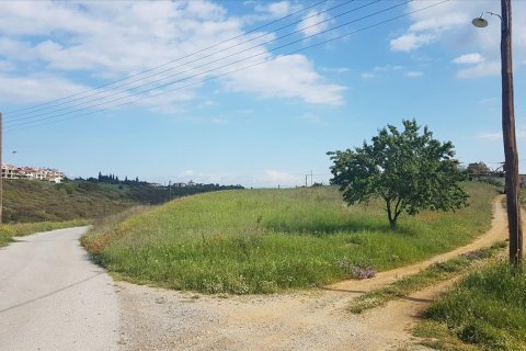 1650m² Land in Thessaloniki, Greece No. 57381 2