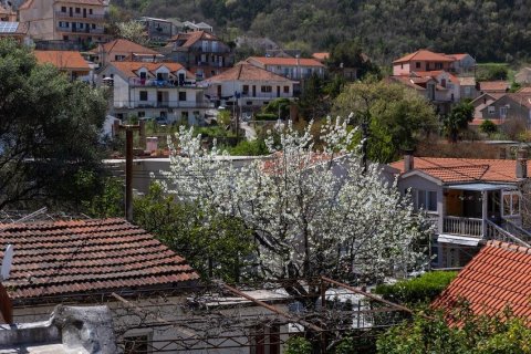 1 dormitorio Apartment en Kotor, Montenegro No. 104756 23