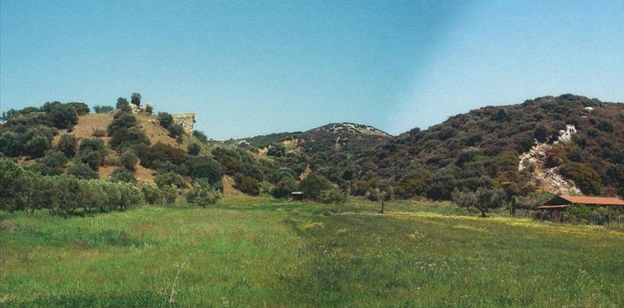 7850m² Land in Chalkidiki, Greece No. 60567