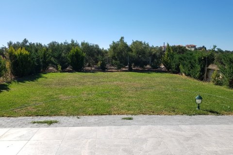 3 chambres House à Chalkidiki, Greece No. 60344 19