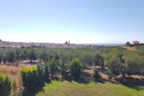 3 chambres House à Chalkidiki, Greece No. 60344 2