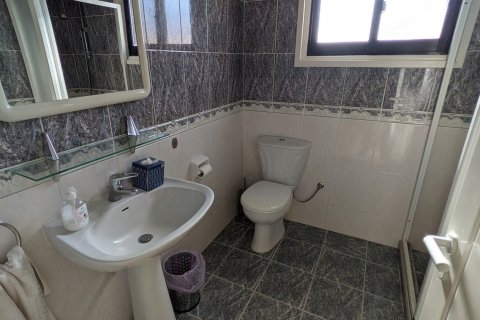 3 bedrooms Villa in Paphos, Cyprus No. 75925 29