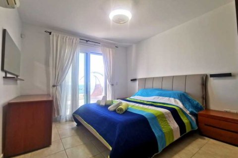 5 bedrooms Villa in Pegeia, Cyprus No. 84395 14