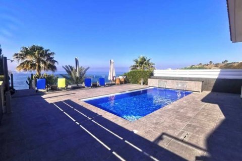 5 bedrooms Villa in Pegeia, Cyprus No. 84395 3