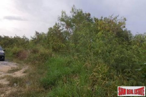 2400m² Land in Rawai, Thailand No. 95802 3