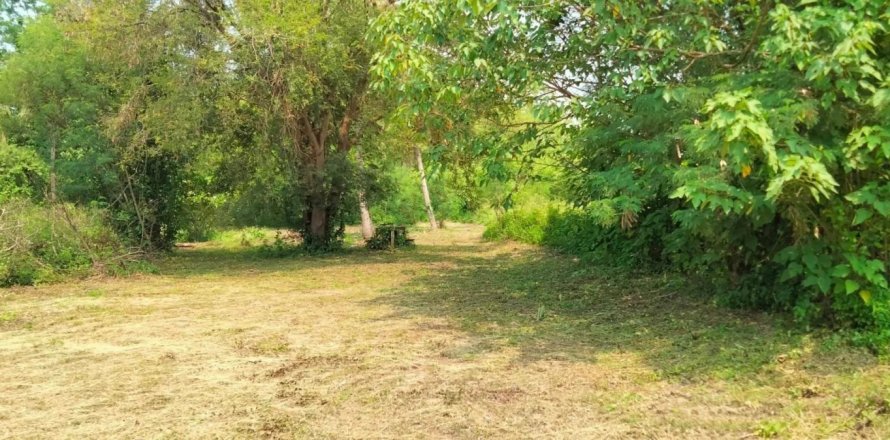 Land in Chiang Mai, Thailand No. 97614